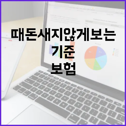 단기여행자보험 고를 때 돈 새지 않게 보는 5가지 기준 - 요약
