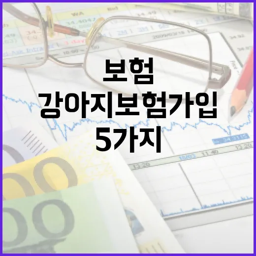 강아지보험 가입 전 가계부에서 먼저 볼 5가지 숫자 - 요약