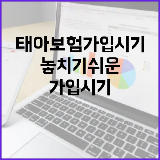 태아보험가입시기 놓치기 쉬운 4가지 기준 - 요약