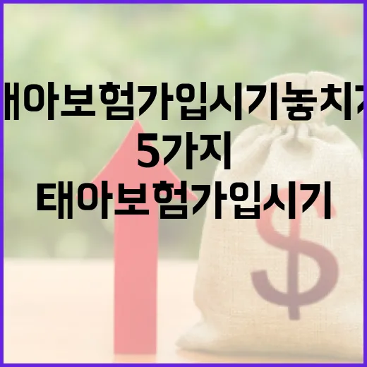 태아보험가입시기 놓치기 쉬운 5가지 기준 - 요약