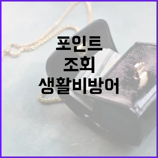 신용정보조회 전 꼭 확인할 5가지 생활비 방어 포인트 - 요약