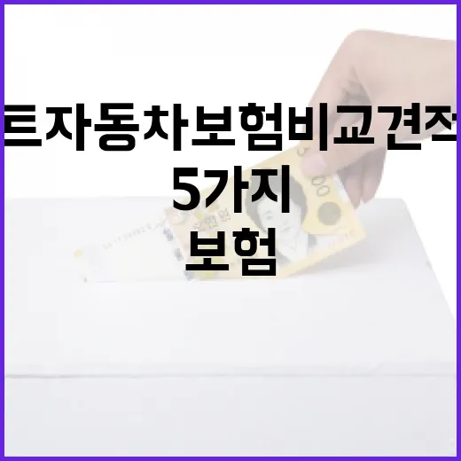 다이렉트자동차보험비교견적사이트 쓰기 전 확인할 5가지 - 요약