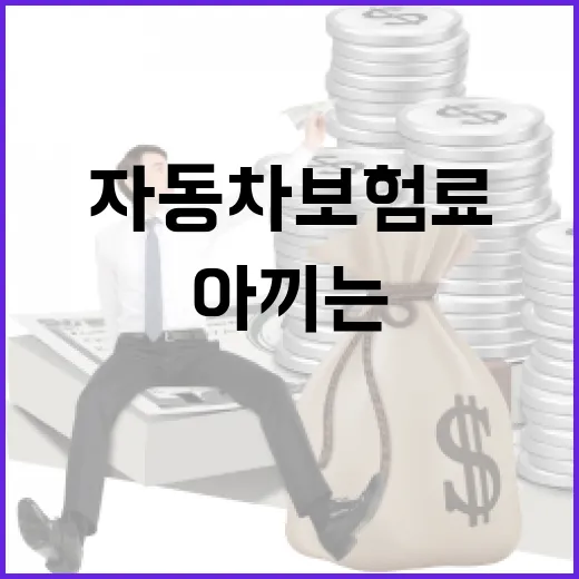 자동차보험료비교할 때 보험료 20만 원 아끼는 5가지 체크법 - 요약