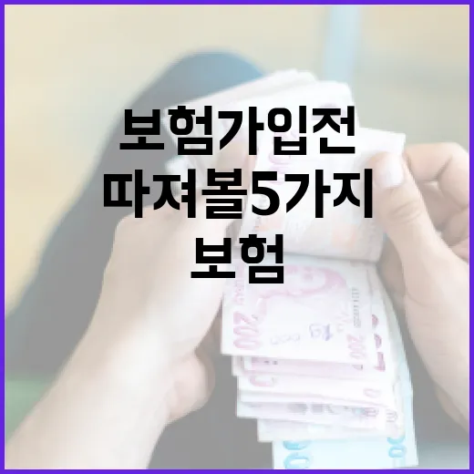 고양이보험 가입 전 따져볼 5가지 숫자 - 요약