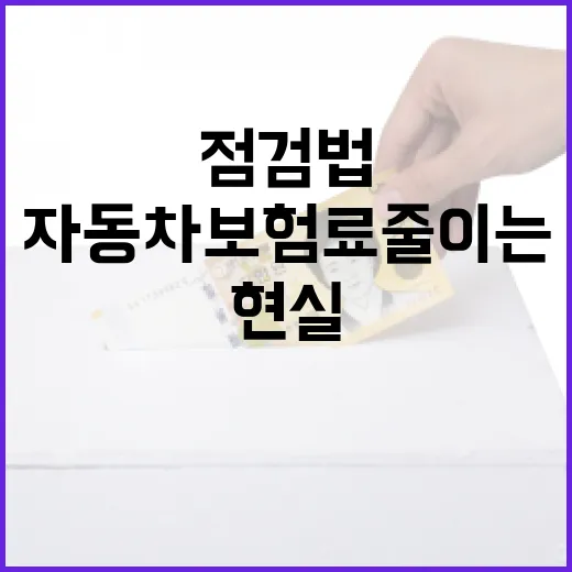 자동차보험료 줄이는 7가지 점검법: 10년 가계부에서 확인한 현실 절약 포인트 - 요약