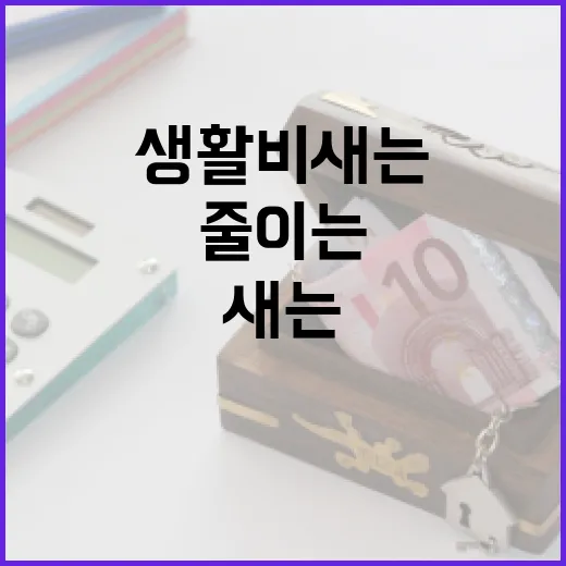 삼성카드홈페이지에서 생활비 새는 돈 줄이는 5가지 확인법 - 요약