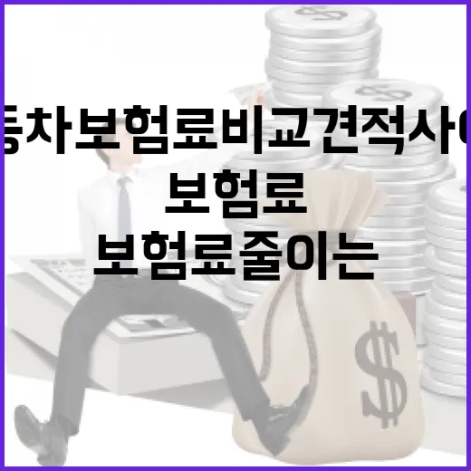 자동차보험료비교견적사이트 쓸 때 보험료 줄이는 5가지 확인법 - 요약