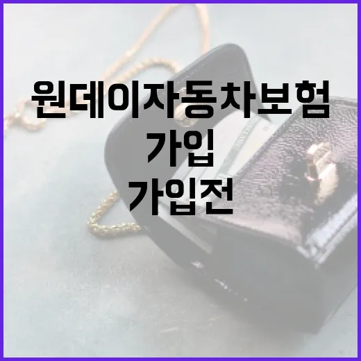 원데이자동차보험 가입 전 확인할 5가지 기준 - 요약