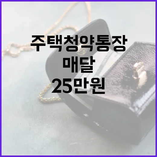 주택청약 통장, 매달 25만원 넣기 전 확인할 5가지 - 요약