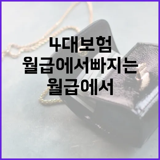 월급에서 빠지는 4대보험, 가계부에 반영하는 5가지 방법 - 요약