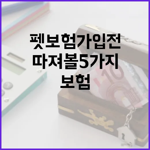 펫보험 가입 전 가계부로 따져볼 5가지 숫자 - 요약
