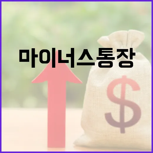 마이너스통장 쓰기 전 꼭 보는 5가지 가계부 기준 - 요약