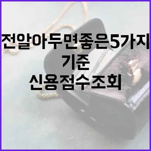 신용점수조회 전 알아두면 좋은 5가지 생활 돈 관리 기준 - 요약