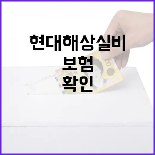현대해상실비보험 확인 전 가계부에서 먼저 볼 5가지 - 요약
