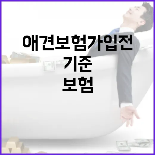 애견보험 가입 전 가계부로 따져본 5가지 기준 - 요약