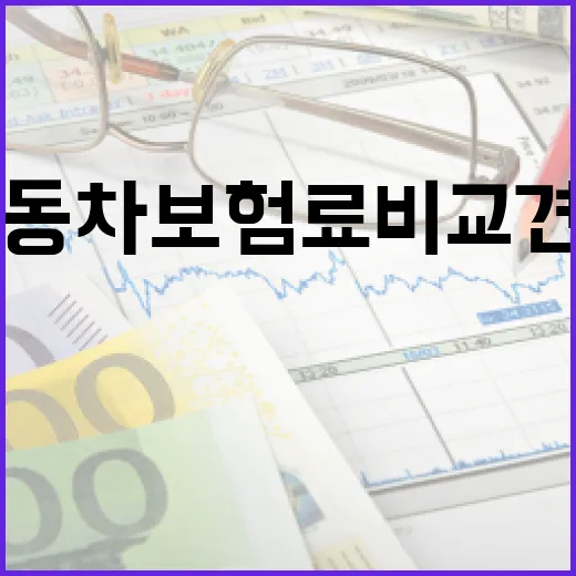 자동차보험료비교견적 할 때 보험료 줄어드는 5가지 체크포인트 - 요약