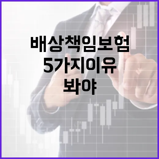 배상책임보험을 가계부 관점에서 봐야 하는 5가지 이유 - 요약