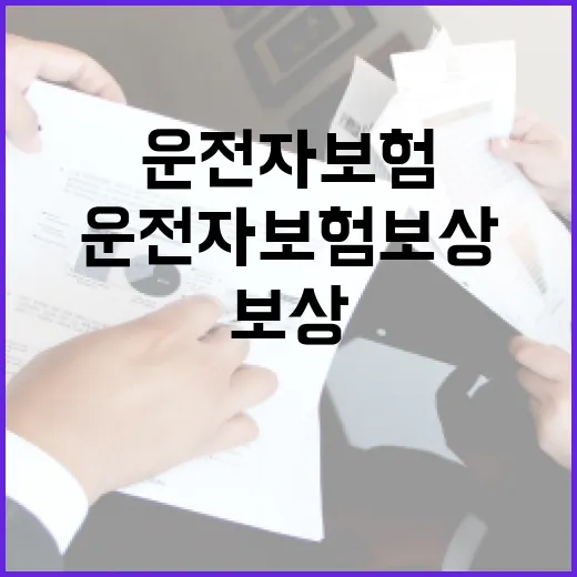 운전자보험보상 받을 때 가계부 관점에서 먼저 보는 5가지 - 요약