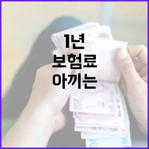자동차보험료비교할 때 1년에 30만 원 아끼는 5가지 체크포인트 - 요약