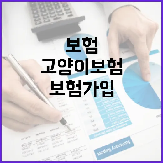 고양이보험 가입 전 가계부로 따져본 5가지 기준 - 요약