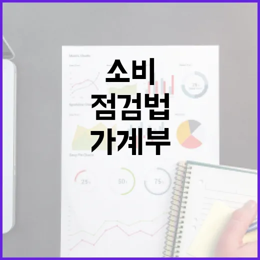 카드뉴스처럼 가계부를 읽는 5가지 소비 점검법 - 요약