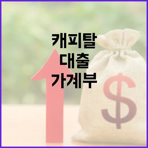 캐피탈대출 받기 전 가계부에서 먼저 보는 5가지 숫자 - 요약
