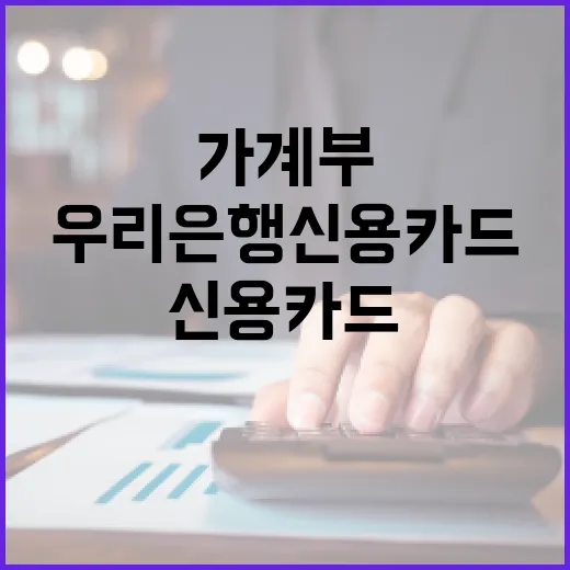 우리은행신용카드 쓰기 전 가계부에서 먼저 봐야 할 5가지 - 요약