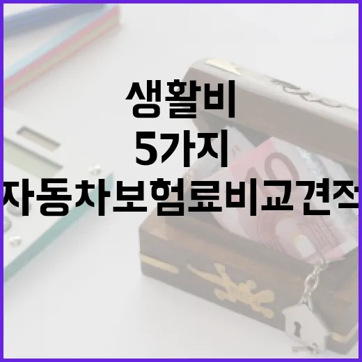 자동차보험료비교견적 전에 확인할 5가지 생활비 기준 - 요약