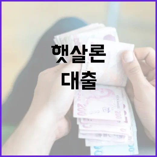 햇살론대출 알아볼 때 가계부에서 먼저 확인할 5가지 - 요약