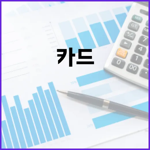 국민카드기업 카드 쓰기 전 확인할 5가지 가계부 기준 - 요약