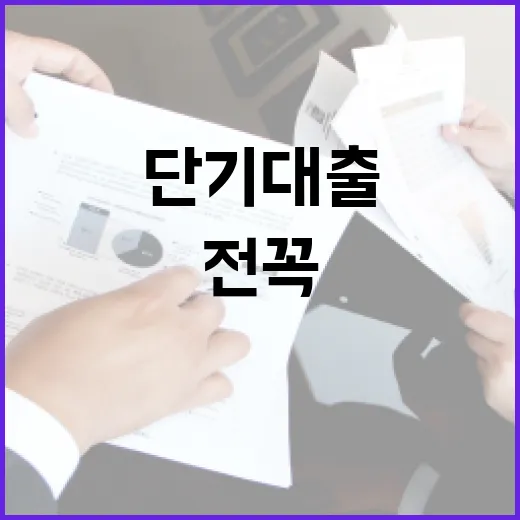 단기대출 전 꼭 적어야 할 5가지 숫자 - 요약