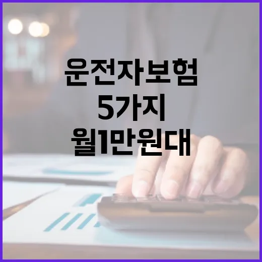 운전자보험가격 줄이는 5가지 기준, 월 1만원대도 충분한가 - 요약