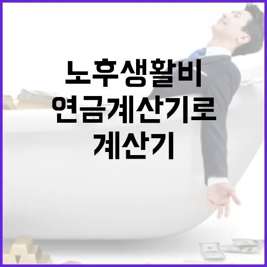 연금계산기로 노후 생활비 점검하는 4단계 - 요약