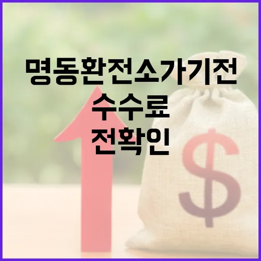 명동환전소 가기 전 확인할 5가지: 수수료보다 중요한 실제 절약 포인트 - 요약