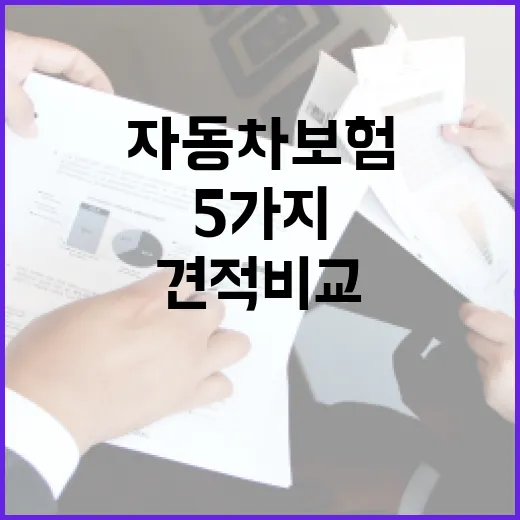 자동차보험견적비교사이트 쓰기 전 확인할 5가지 돈 새는 지점 - 요약