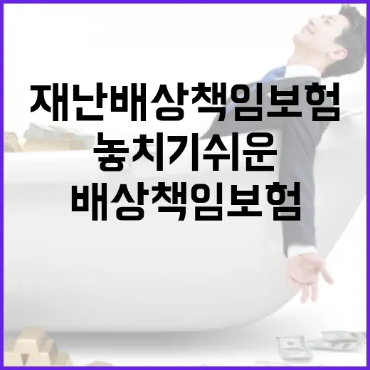 재난배상책임보험, 사장님 가계부에서 놓치기 쉬운 5가지 돈 문제 - 요약
