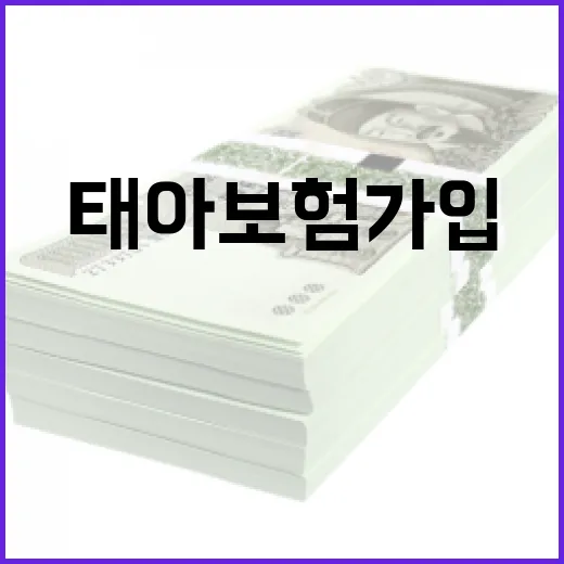 태아보험가입 전 가계부에서 먼저 확인할 5가지 숫자 - 요약
