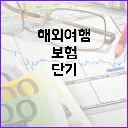 단기해외여행보험 고를 때 가계부 기준으로 보는 5가지 - 요약