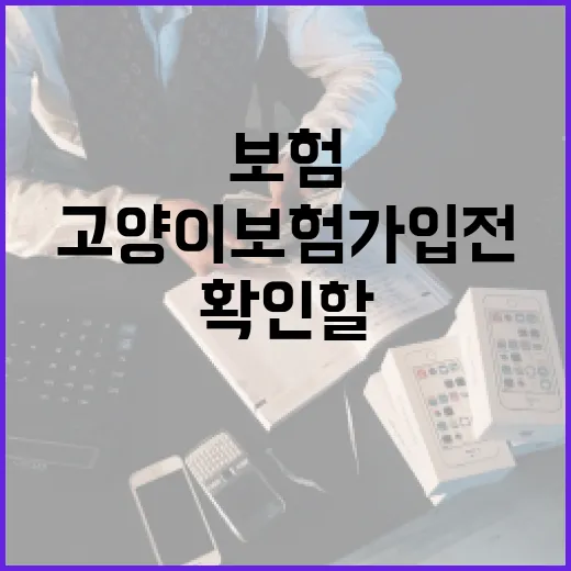고양이보험 가입 전 가계부에서 먼저 확인할 5가지 숫자 - 요약
