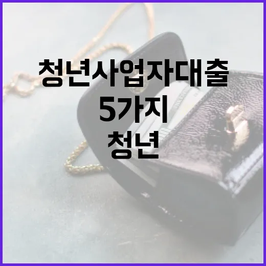 청년사업자대출 받기 전 가계부처럼 따져볼 5가지 숫자 - 요약