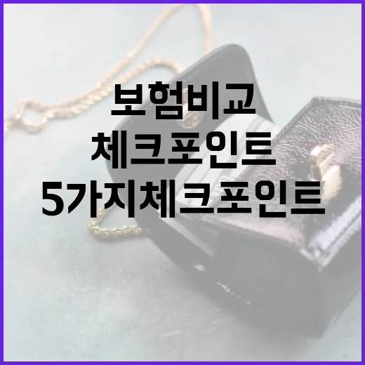 보험비교할 때 놓치면 돈 새는 5가지 체크포인트 - 요약