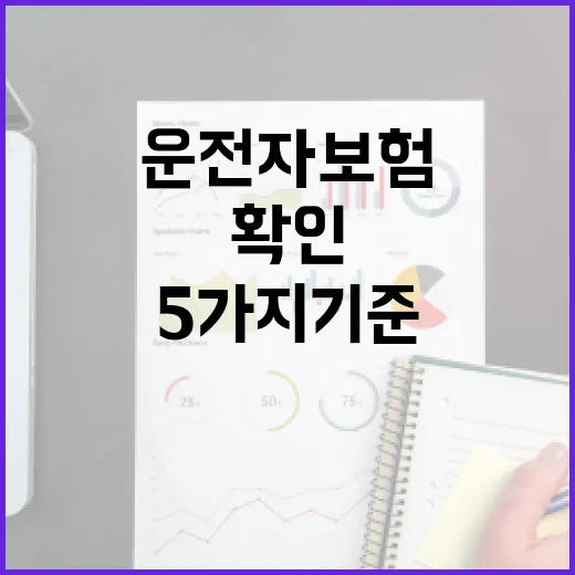 운전자보험가격 줄이기 전 확인할 5가지 기준 - 요약