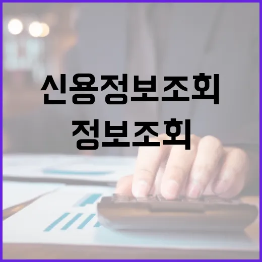 신용정보조회 전에 확인할 5가지 생활 재무 포인트 - 요약