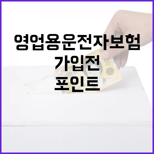 영업용운전자보험 가입 전 확인할 5가지 돈 관리 포인트 - 요약