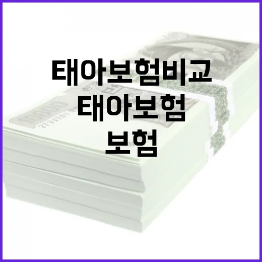 태아보험비교할 때 가계부 기준으로 보는 5가지 체크포인트 - 요약