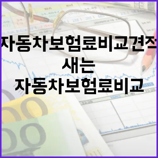 자동차보험료비교견적 볼 때 놓치면 돈 새는 5가지 기준 - 요약