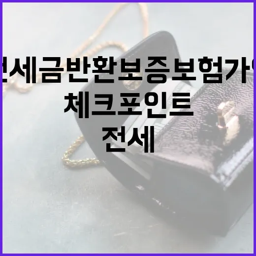 전세금반환보증보험 가입 전 확인할 5가지 생활 체크포인트 - 요약