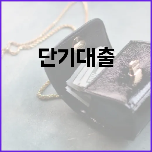 단기대출 받기 전 확인할 5가지 가계부 기준 - 요약