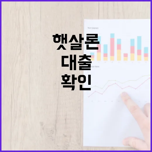 햇살론대출 전 가계부에서 먼저 확인할 5가지 숫자 - 요약