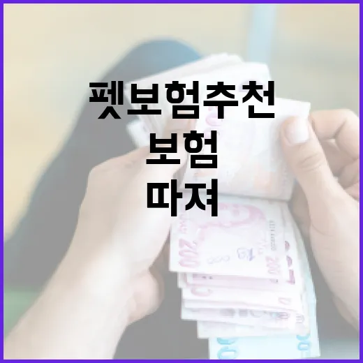 펫보험추천 전에 따져볼 5가지 가계부 기준 - 요약